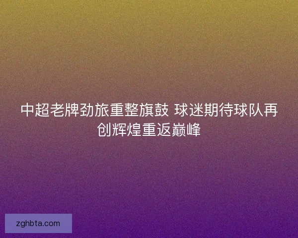 中超老牌劲旅重整旗鼓 球迷期待球队再创辉煌重返巅峰