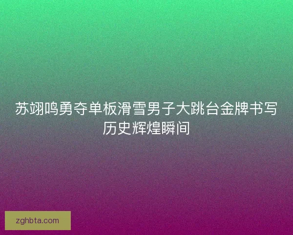 苏翊鸣勇夺单板滑雪男子大跳台金牌书写历史辉煌瞬间