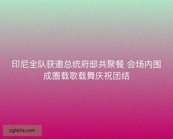 印尼全队获邀总统府邸共聚餐 会场内围成圈载歌载舞庆祝团结
